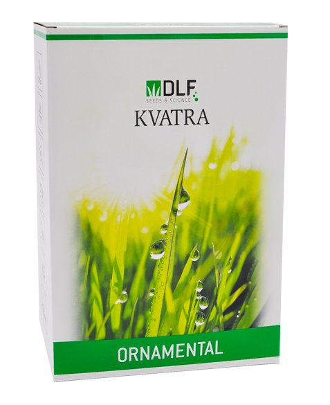 Travní směs KVATRA Ornamental Exclusive, 1 kg